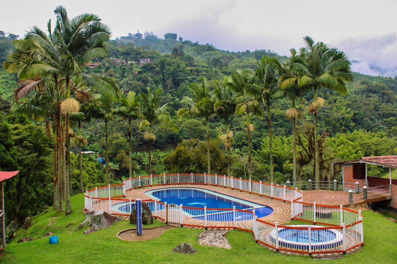 Hacienda Charrascal Coffe Farm Manizales