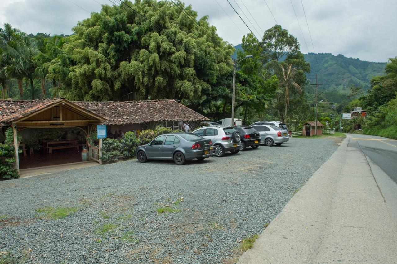Hacienda Charrascal Coffe Farm *